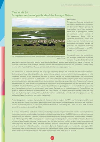 68
CLIMATE-SMART AGRICULTURE SOURCEBOOK
Case study 2.6
Ecosystem services of peatlands of the Ruoergai Plateau
The Ruoergai peatland pastures on the Tibetan Plateau: a major milk and meat producing
area in China.
Photo: Chen Kelin
Introduction
The extensive Ruoergai peatlands on
the eastern Tibetan Plateau are a major
link between the Tibetan uplands and
large lowland rivers. These peatlands,
which serve as grazing lands, contain
an estimated carbon content of
750 megatonnes (Björk, 1993); a
significant proportion of Chinese peat
carbon resources. Home to numerous
endangered and endemic species, the
peatlands are important reservoirs
of biodiversity (Tsuyuzaki et al., 1990;
Ekstam, 1993; Schaller, 1998).
Throughout history, the peatlands on
the Ruoergai Plateau have acted like
sponges. They absorbed and retained
water during periods when water supplies were abundant and slowly released water when it was scarce. In this way, the
peatlands slowed down peak discharge, prevented erosion, reduced downstream flooding and guaranteed a steady supply
of water to the Huanghe (Yellow) River, a water source that millions of people depend on.
The introduction of livestock grazing 5 000 years ago completely changed the peatlands on the Ruoergai Plateau.
Sedimentation of clay, silt and sand from the grazed mineral uplands combined with the continuous passing of yaks
caused the peatlands to lose their spongy character. As a result, the peat has become more compact and is much more
susceptible to erosion (Joosten et al., 2008). At the same time, herders developed a complex system of land management,
which included sharing grazing lands and their rotational use to prevent overgrazing and erosion. This system of resource
management is part of the unique cultural heritage of communities on the Ruoergai Plateau. Not only in Ruoergai but in the
entire high altitude of the Himalayan region, peatlands still function as grazing pastures for nomadic herders, especially
when the peatlands are frozen or not completely waterlogged. Eighty percent of the peatlands on the Tibetan Plateau are
grazed or browsed by domestic animals in winter and early summer. The herders prefer peatlands because of the early
plant growth, the higher productivity of forage, the better nutrient availability due to the diversity of forage species, and the
availability of water for watering and cooling the livestock.
Peatland degradation increased dramatically with the construction of roads in the 1970s and the rising demand for food,
fuel and rangeland. Overgrazing and the resulting decrease in the quality of pasture fuelled the demand for new rangeland.
This led to increased pressure on untouched peatlands (Wiener et al., 2003; Wang et al., 2006; Gao et al., 2009), of which
almost 50 percent were drained (Yang, 2000).
To increase milk and meat production, traditional husbandry was replaced by a more market-oriented economy. Collective
livestockandpasturesweredividedandallocatedtoindividualhouseholds(YanandWu,2005).Pastureswerefencedandmore
infrastructure was developed. Livestock numbers increased dramatically and migration routes of animals were blocked (Li
et al., 1986; Long and Ma, 1997), which aggravated overgrazing, peatland degradation, erosion and desertification. Peatlands
in Ruoergai were leased to individual Tibetan herders, and this led to long-term conflicts between nature conservation and
livestock grazing (Yan and Wu, 2005). The more sedentary managing system brought about new challenges not only for
pastoral development but also for peatland conservation. Currently, the peatlands provide irreplaceable grazing ground for
thousands of yaks, horses and sheep that are central to the livelihoods of local herder families and provide the country with
animal products. Healthy peatlands can also create employment in other areas, such as tourism.
 