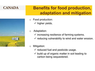 Benefits for food production,
adaptation and mitigation
o Food production:
 higher yields.
o Adaptation:
 increasing resilience of farming systems.
 reducing vulnerability to wind and water erosion.
o Mitigation:
 reduced fuel and pesticide usage.
 build up of organic matter in soil leading to
carbon being sequestered.

 