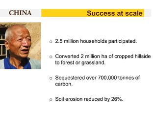 Success at scale

o 2.5 million households participated.
o Converted 2 million ha of cropped hillside
to forest or grassland.

o Sequestered over 700,000 tonnes of
carbon.
o Soil erosion reduced by 26%.

 