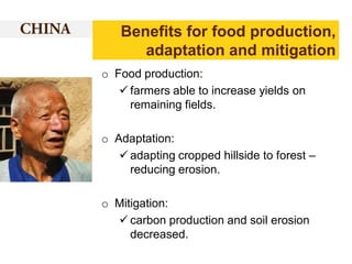 Benefits for food production,
adaptation and mitigation
o Food production:
 farmers able to increase yields on
remaining fields.
o Adaptation:
 adapting cropped hillside to forest –
reducing erosion.

o Mitigation:
 carbon production and soil erosion
decreased.

 