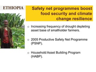 Safety net programmes boost
food security and climate
change resilience
o Increasing frequency of drought depleting
asset base of smallholder farmers.

o 2005 Productive Safety Net Programme
(PSNP).
o Household Asset Building Program
(HABP).

 