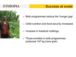 Success at scale
o Both programmes reduce the ‘hunger gap’.
o Child nutrition and food security increased.

o Increase in livestock holdings.
o Those enrolled in both programmes
produced 147 kg more grain.

 