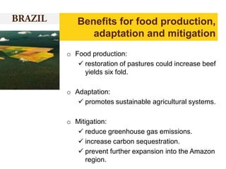 Benefits for food production,
adaptation and mitigation
o Food production:
 restoration of pastures could increase beef
yields six fold.
o Adaptation:
 promotes sustainable agricultural systems.
o Mitigation:
 reduce greenhouse gas emissions.
 increase carbon sequestration.
 prevent further expansion into the Amazon
region.

 