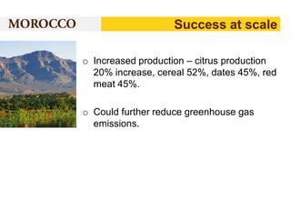 Success at scale
o Increased production – citrus production
20% increase, cereal 52%, dates 45%, red
meat 45%.
o Could further reduce greenhouse gas
emissions.

 