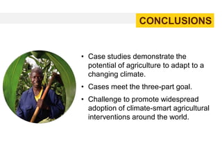 CONCLUSIONS

• Case studies demonstrate the
potential of agriculture to adapt to a
changing climate.
• Cases meet the three-part goal.
• Challenge to promote widespread
adoption of climate-smart agricultural
interventions around the world.

 