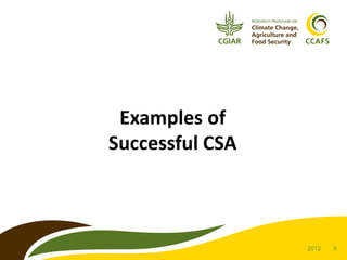 Examples of
Successful CSA

2013

5

 