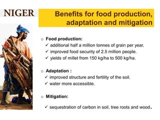Benefits for food production,
adaptation and mitigation
o Food production:
 additional half a million tonnes of grain per year.
 improved food security of 2.5 million people.
 yields of millet from 150 kg/ha to 500 kg/ha.
o Adaptation :
 improved structure and fertility of the soil.
 water more accessible.

o Mitigation:
 sequestration of carbon in soil, tree roots and wood

.

 