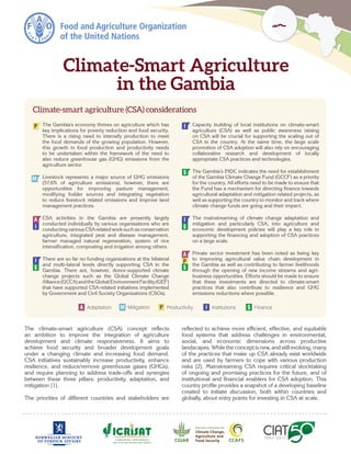 Climate-smart agriculture (CSA) considerations
The climate-smart agriculture (CSA) concept reflects
an ambition to improve the integration of agriculture
development and climate responsiveness. It aims to
achieve food security and broader development goals
under a changing climate and increasing food demand.
CSA initiatives sustainably increase productivity, enhance
resilience, and reduce/remove greenhouse gases (GHGs),
and require planning to address trade-offs and synergies
between these three pillars: productivity, adaptation, and
mitigation [1].
The priorities of different countries and stakeholders are
reflected to achieve more efficient, effective, and equitable
food systems that address challenges in environmental,
social, and economic dimensions across productive
landscapes. While the concept is new, and still evolving, many
of the practices that make up CSA already exist worldwide
and are used by farmers to cope with various production
risks [2]. Mainstreaming CSA requires critical stocktaking
of ongoing and promising practices for the future, and of
institutional and financial enablers for CSA adoption. This
country profile provides a snapshot of a developing baseline
created to initiate discussion, both within countries and
globally, about entry points for investing in CSA at scale.
•	 The Gambia’s economy thrives on agriculture which has
key implications for poverty reduction and food security.
There is a rising need to intensify production to meet
the food demands of the growing population. However,
this growth in food production and productivity needs
to be undertaken within the framework of the need to
also reduce greenhouse gas (GHG) emissions from the
agriculture sector.
•	 Livestock represents a major source of GHG emissions
(57.6% of agriculture emissions), however, there are
opportunities for improving pasture management,
modifying fodder sources and integrating vegetation
to reduce livestock related emissions and improve land
management practices.
•	 CSA activities in the Gambia are presently largely
conducted individually by various organisations who are
conducting various CSA related work such as conservation
agriculture, integrated pest and disease management,
farmer managed natural regeneration, system of rice
intensification, composting and irrigation among others.
•	 There are so far no funding organizations at the bilateral
and multi-lateral levels directly supporting CSA in the
Gambia. There are, however, donor-supported climate
change projects such as the Global Climate Change
Alliance(GCCA)andtheGlobalEnvironmentFacility(GEF)
that have supported CSA-related initiatives implemented
by Government and Civil Society Organizations (CSOs).
•	 Capacity building of local institutions on climate-smart
agriculture (CSA) as well as public awareness raising
on CSA will be crucial for supporting the scaling out of
CSA in the country. At the same time, the large scale
promotion of CSA adoption will also rely on encouraging
collaborative research and development of locally
appropriate CSA practices and technologies.
•	 The Gambia’s INDC indicates the need for establishment
of the Gambia Climate Change Fund (GCCF) as a priority
for the country. All efforts need to be made to ensure that
the Fund has a mechanism for directing finance towards
agricultural adaptation and mitigation related projects, as
well as supporting the country to monitor and track where
climate change funds are going and their impact.
•	 The mainstreaming of climate change adaptation and
mitigation and particularly CSA, into agriculture and
economic development policies will play a key role in
supporting the financing and adoption of CSA practices
on a large scale.
•	 Private sector investment has been noted as being key
to improving agricultural value chain development in
the Gambia as well as contributing to farmer livelihoods
through the opening of new income streams and agri-
business opportunities. Efforts should be made to ensure
that these investments are directed to climate-smart
practices that also contribute to resilience and GHG
emissions reductions where possible.
Climate-Smart Agriculture
in the Gambia
P Productivity
A Adaptation M Mitigation Institutions
I $ Finance
A
I
$
I $
$
P
P
A
M
I
I
$
 