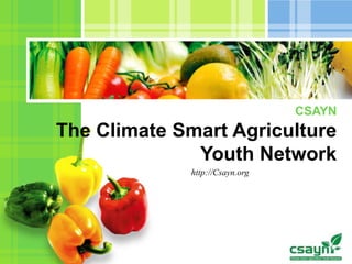 /O
CSAYN
The Climate Smart Agriculture
Youth Network
http://Csayn.org
 