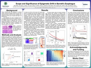 Background
Tissue biological age, as measured by molecular
markers, may predict disease progression and inform
clinical treatments. Epigenetic drift, in particular age-
dependent increases in de novo DNA methylation, is a
process that can be used to quantify tissue age at the
individual level.
We investigated the scope of epigenetic drift in
Esophageal adenocarcinoma (EAC) and Barrett’s (BE), a
pre-malignant tissue with high prevalence. Previously,
we identified markers of differential drift in BE that
allowed the estimation of BE tissue age1,2. We found
widespread age-related increases in methylation in BE
and EAC, spatial and temporal heterogeneity, and
repressive effects on transcription.
Methods and Analysis
Figure 5. Spatial correlation (r-value) of methylation at adjacent
CpGs decays more slowly with distance from drift islands (red
dots/lines) than static islands (black dots/line). Dashed region
indicates coordinate range for Island/Shore-to-Shelf transition.
Figure 7. Example unimodal and bimodal distributions of drift island
CpG (N = 11,425) methylation in BE and EAC samples (A; L/I/H = low,
intermediate, and high mean methylation) and simulated methylation
densities from multicellular stochastic model of drift evolution (B; t=
number of time steps simulating age).
Figure 2. Epigenetic drift was calculated as age-associated
increases in methylation at CpG sites hypomethylated in normal
tissues, as depicted below:
Figure 1. Histochemical
tissue cross-sections of: (A)
normal squamous (SQ); (B)
low grade dysplasia; (C)
high grade dysplasia, and
(D) intramucosal adeno-
carcinoma (D) 3.
Results Conclusions
Works Cited
In Curtius et al 2016, a CpG clock of 67 markers was
derived to calculate time since BE initiation, or dwell
time, by ascertaining age-related methylation changes
between normal SQ and BE tissues. To better
characterize the clock model, we looked at clock CpG
methylation patterns in serial and cross-sectional
esophageal tissues. CpGs showed both temporal and
spatial methylation heterogeneity (Fig’s 3 and 4).
Methylation of cross-sectional BE samples (N=5
patients) at BE Clock CpGs clustered according to
distance from gastroesophageal junction, suggesting
BE drift is spatially heterogeneous within the
esophagus (Fig. 3). Methylation in serially collected
BE samples (N=12 patients) showed heterogeneous
methylation changes across clock CpGs, suggesting
that starting methylation levels may influence evolution
of drift patterns over time (Fig. 4).
Expanding on the BE clock model, we observed
pan-genomic correlations with drift at the initial 67
markers. In BE, most correlated CpGs (Spearman
test, qval<0.05) increased in methylation, and this
pan-genomic CpG set was enriched for CpGs
mapping to CG-islands (63%) overlapping gene
promoters (binom. test pval<0.05).
Acknowledgements
and Funding
This research was funded by grants from NIH, including several
UO1CA (182940, 152756, 086402 to GL, SM, WH, KC, WG and MY)
grants, as well as U54CA163060 (to AC, JW, and WG) and
P30CA015704 (to MY, SM, and WG). Additional funding was provided
by the Price (to WG) and DeGregorio (to GL and WG) Family
foundations and Barts Charity (to KC). Special thanks to the Fred
Hutch Genomics Core, and MEMO and BETRNet consortium
facilitators, doctors and patients.
1. Curtius, K, et. al. “A Molecular Clock Infers Heterogeneous Tissue Age Among Patients
with Barrett’s Esophagus”. PLoS Comput Biol 2016 May 11; 12(5)
2. Luebeck EG, et. al. “Identification of a Key Role of Widespread Epigenetic Drift in Barrett’s
Esophagus and Esophageal Adenocarcinoma”. Clinical Epigenetics (in press)
3. (histochemistry composite img) Naini, BV et al. “Barrett’s Esophagus: A Comprehensive and
Contemporary Review for Pathologists”. Am J Surg Pathol. 2016 May; 40(5).
4. Krause L et al. “Identification of the CIMP-like subtype and aberrant methylation of members
of the chromosomal segregation and spindle assembly pathways in esophageal
adenocarcinoma.” Carcinogenesis 2016 Apr; 37(4):356-65.
CG-dense islands acted as discrete functional
units showing high correlation at adjacent CpGs
(Fig’s 5 and 6). Assessing functional consequences
of drift in EAC, we observed epigenetic repression of
genes having overlapping promoters to drifting CG
islands (ts-Mann-Whitney-Wilcoxon test). Among 200
genes showing significant repression with advanced
drift (qval<0.01) were CHFR and 31 GRAB ZNFs.
Developmental and checkpoint pathways were
enriched among significant repressed genes (gene
set enrichment, padj<0.05).
There was a distinct unimodal-to-bimodal
transition in drift patterns of BE and EAC. These
patterns are consistent with a stochastic model of
non-linear feedback between island- and CpG-level
methylation rates, helping to explain heterogeneous
drift dynamics across samples (Fig 7).
Our studies uncovered important characteristics of drift
in BE and EAC that help explain temporal and spatial
heterogeneity across patients and tissues, and further
demonstrate CG-islands as functional units that, through
regional drift dynamics, modulate expression at 200
genes involved in development and cell cycle pathways,
including 31 GRAB ZNF genes. Pan-genomic island drift
reflects a nonlinear transition pattern in methylated CpG
distribution, from unimodal-low to bimodal-high
methylation. These findings can inform future models of
drift and help guide clinical decisions that depend on
tissue age.
Scope and Significance of Epigenetic Drift in Barrett’s Esophagus
Figure 6. Heatmap of BE and SQ mean methylation (blue =
low, red = high) at clock-correlated drift CG islands. Age is
depicted in grayscale annotations, sex is depicted as light
blue (male) or pink (female) annotations.
*Co-first authors. A. Program in Computational Biology, Fred Hutchinson Cancer Research Center, Seattle, WA, USA ; B. Centre for Tumour Biology, Barts Cancer Institute, Queen Mary University of London Charterhouse Square, London, UK; C. Clinical Research Division, Fred Hutchinson Cancer Research
Center, Seattle, WA, USA; D. Department of Gastroenterology, Digestive Disease & Surgery Institute, Cleveland, OH, USA; E. Department of Pathology, Cleveland Clinic, Cleveland, OH, USA; F. University Hospitals Case Medical Center, Case Western Reserve University School of Medicine, Cleveland, OH,
USA; G. Department of Medicine, University of Washington School of Medicine, Seattle, WA, USA
Sean MadenC* and Georg E. LuebeckA*, Kit CurtiusB, William D. HazeltonA, Ming YuC, Prashanti N ThotaD,Deepa T PatilE, Amitabh ChakF, Joseph E. WillisF, and William M. GradyC,G
Figure 3. Example of drift spatial heterogeneity in
cross-sectional samples of one patient. Heatmap
shows BE clock CpG methylation (blue = low, red
= high), with annotations for location (grayscale, in
cm) and tissue type (green and blue, DBE =
dysplastic BE, NDBE = nondysplastic BE).
Figure 4. Temporal heterogeneity in drift patterns, depicted in dot and
line plots of methylation at individual BE clock CpGs (N=67) in
longitudinal BE samples from two time points for four patients.
Samples were collected from patients enrolled in the
BETRNet and MEMO cohorts. Tissue DNA was extracted,
subjected to QC check, bisulfite converted, and run on
Illumina HM450 BeadChip arrays according to standard
Illumina protocols2. Raw arrays were preprocessed in the
minfi R package. Validation methylation and gene
expression data came from Krause et al 2016 and TCGA.
Validation data platforms included HM450 arrays, Illumina
HumanHT-12 V4.0 expression arrays and Illumina HISeq
2000 (TCGA) RNAseq data4. Methylation is calculated by
Methylated (M) and Unmethylated (U) array signals as
follows:
1. 𝛽 − 𝑣𝑎𝑙𝑢𝑒 =
𝑀
𝑈+𝑀
2. M = logit2(𝛽 − 𝑣𝑎𝑙𝑢𝑒)
 