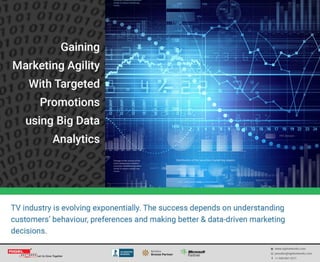 Gaining Market Agility with Targeted Promotions using Big Data Analytics