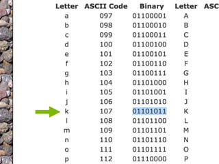 ASCII to Binary
 