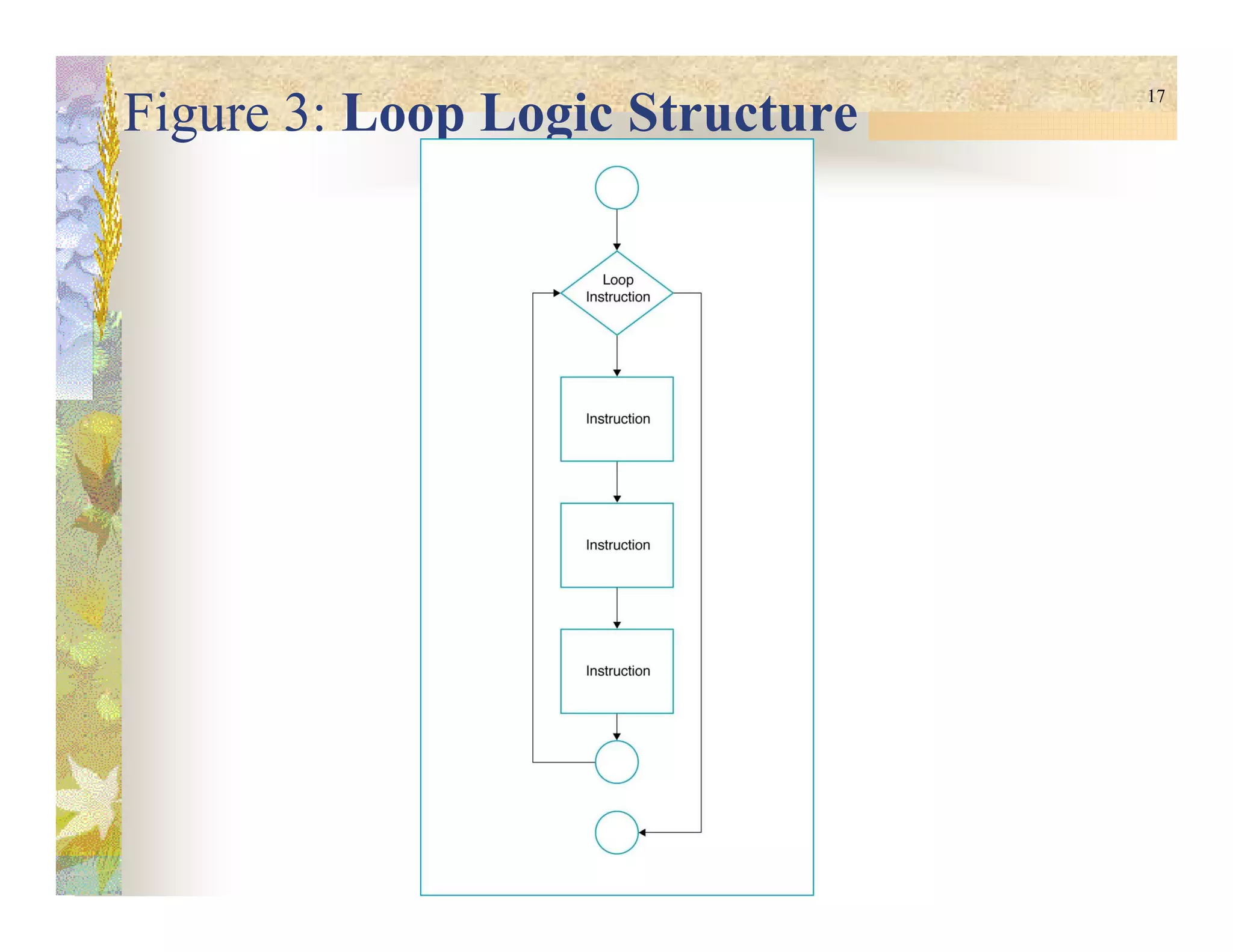 17
Figure 3: Loop Logic Structure
 