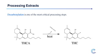 Processing Extracts
Decarboxylation is one of the most critical processing steps.
 