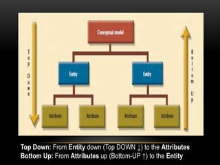 Top Down: From Entity down (Top DOWN ↓) to the Attributes
Bottom Up: From Attributes up (Bottom-UP ↑) to the Entity
 