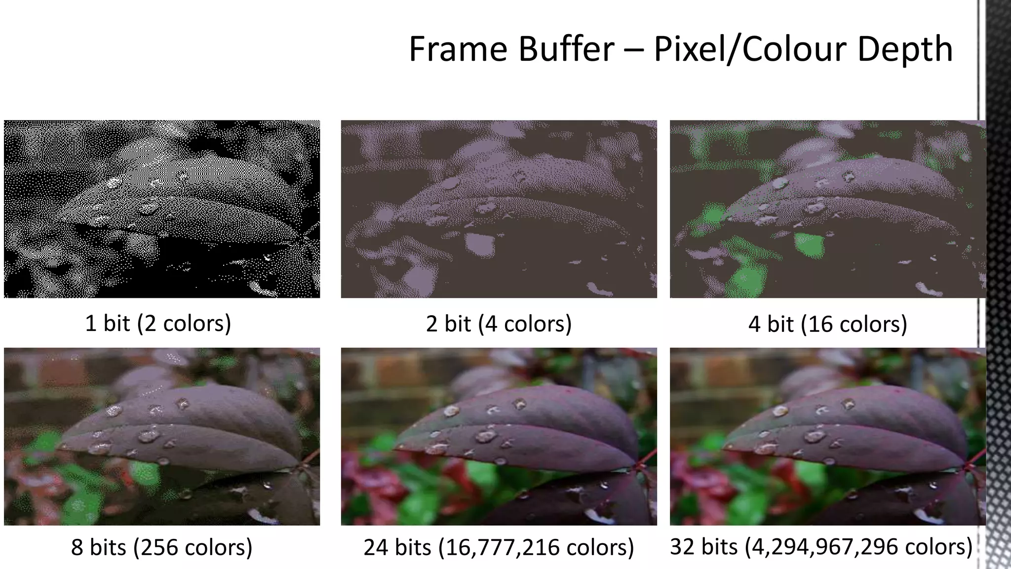 1 bit (2 colors) 2 bit (4 colors) 4 bit (16 colors)
8 bits (256 colors) 24 bits (16,777,216 colors) 32 bits (4,294,967,296 colors)
 