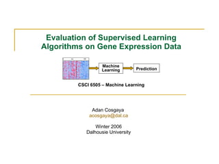Evaluation of Supervised Learning Algorithms on Gene Expression Data CSCI 6505 – Machine Learning Adan Cosgaya  [email_address] Winter 2006 Dalhousie University Machine Learning Prediction 