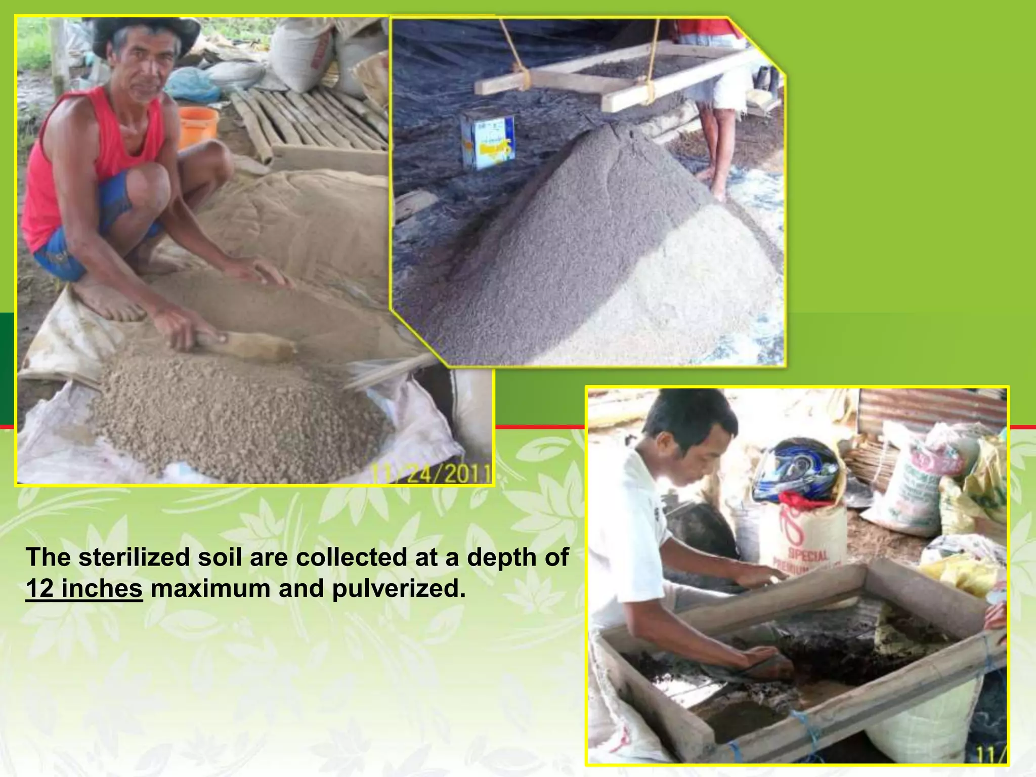 The sterilized soil are collected at a depth of
12 inches maximum and pulverized.
 