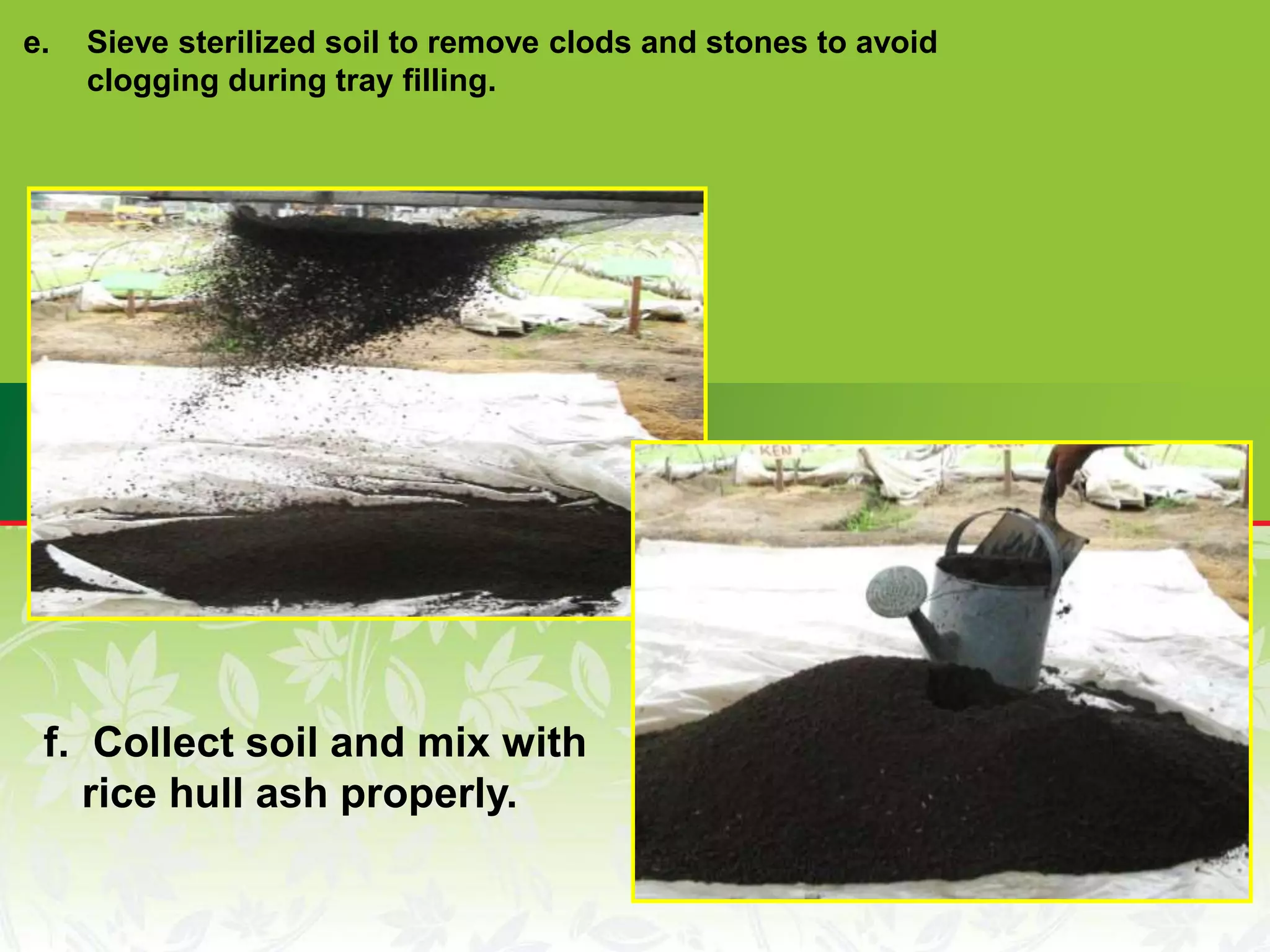 e. Sieve sterilized soil to remove clods and stones to avoid
clogging during tray filling.
f. Collect soil and mix with
rice hull ash properly.
 