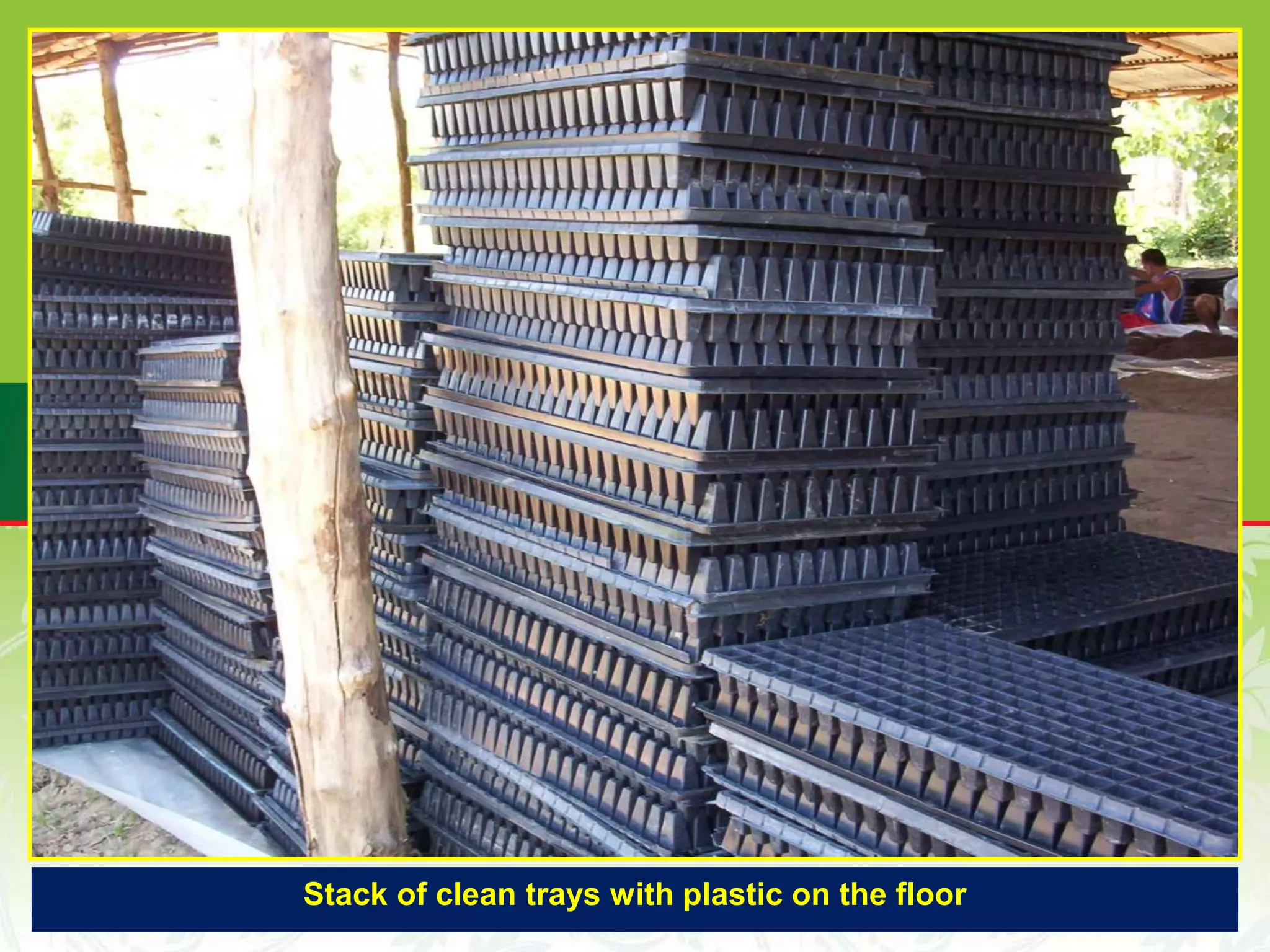 Stack of clean trays with plastic on the floor
 