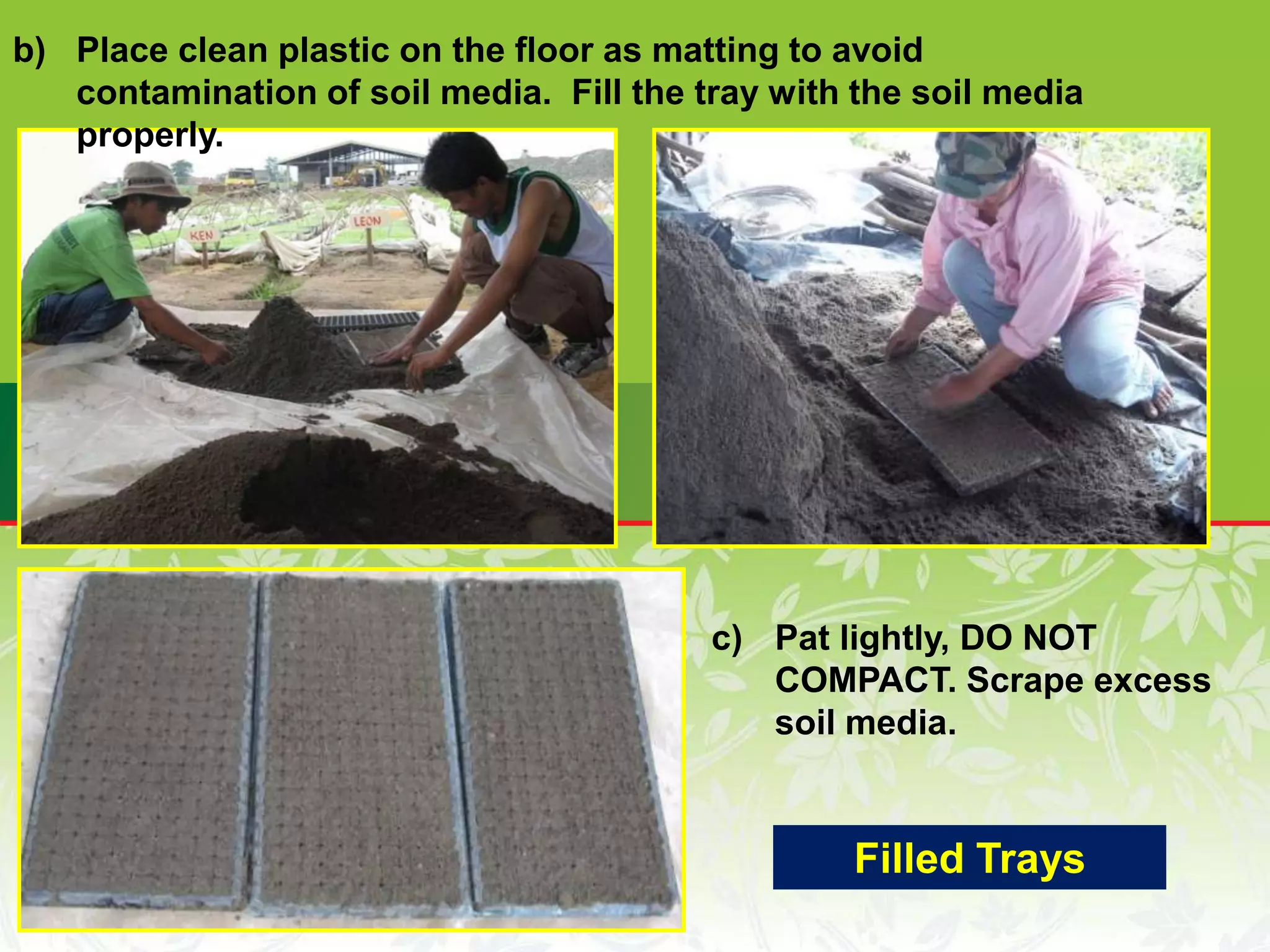 b) Place clean plastic on the floor as matting to avoid
contamination of soil media. Fill the tray with the soil media
properly.
c) Pat lightly, DO NOT
COMPACT. Scrape excess
soil media.
Filled Trays
 