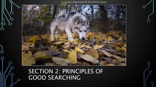 SECTION 2: PRINCIPLES OF
GOOD SEARCHING
On the Scent. Image licensed CC-BY on Flickr by stephen
bowler.
 