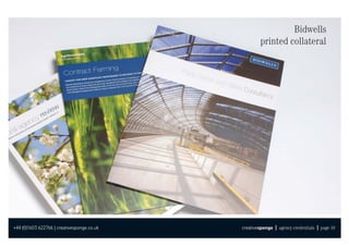 Bidwells
                                                    printed collateral




+44 (0)1603 622766 | creativesponge.co.uk   creativesponge | agency credentials | page 10
 