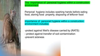 The importance of personal hygiene within a construction
environment
Personal hygiene includes washing hands before eating
food, storing food properly, disposing of leftover food
importance of personal hygiene within a construction
environment includes:
-protect against Weil’s disease carried by (RATS)
- protect against transfer of soil contamination
-prevent sickness
 