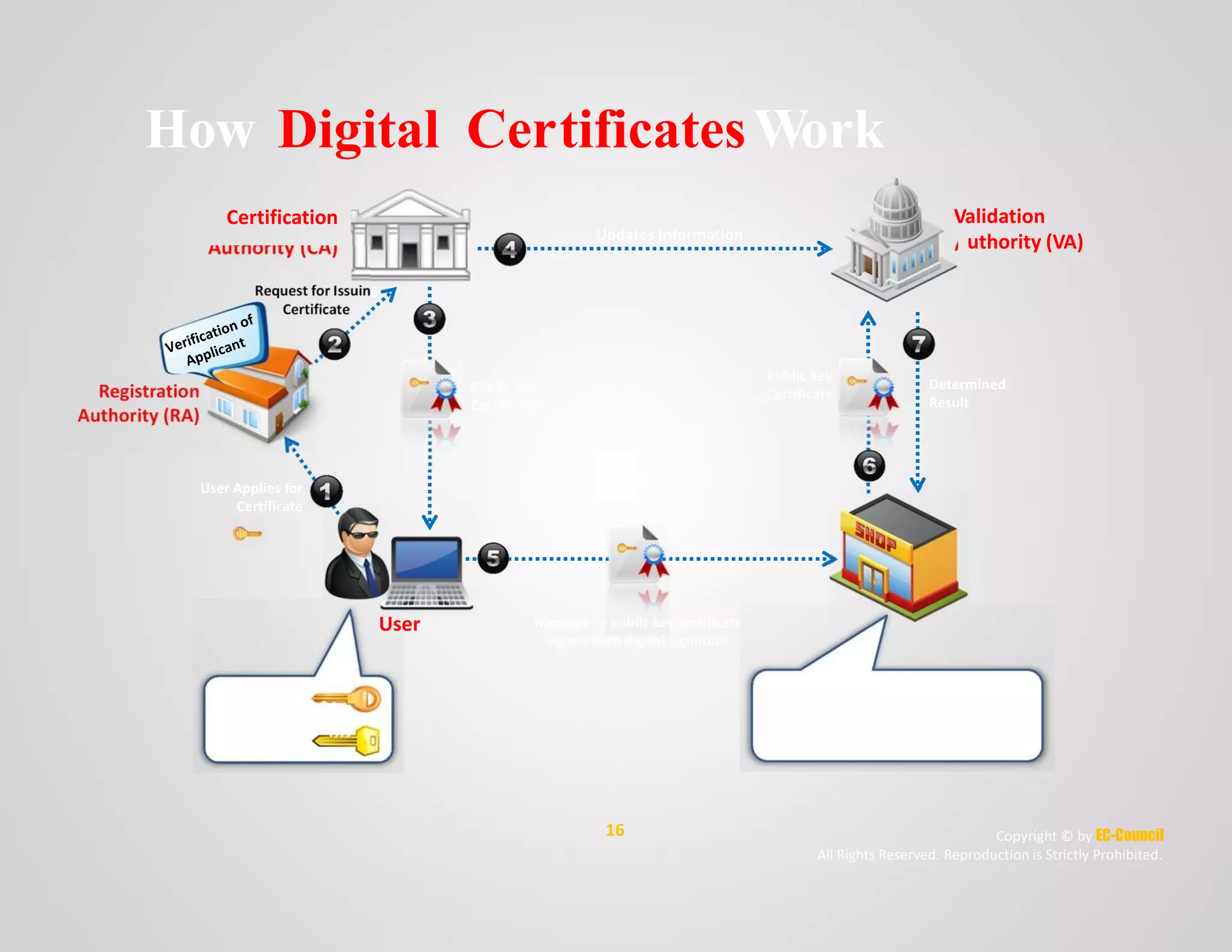 AAuthority (CA)
Request for Issuin
Certificate
Registration
Authority (RA)
How Digital
Certification
CertificatesWork
Validation
uthority (VA)Updates Information
g
Public Key
Certificate
Determined
Result
Public Key
Certificate
User Applies for
Certificate
User Message in public key certificate
signed with digital signature


Validation of electronic signature
Inquires about public key certificate
validity to validation authority
Public Key
Private Key
16 Copyright © by EC-Council
All Rights Reserved. Reproduction is Strictly Prohibited.
 