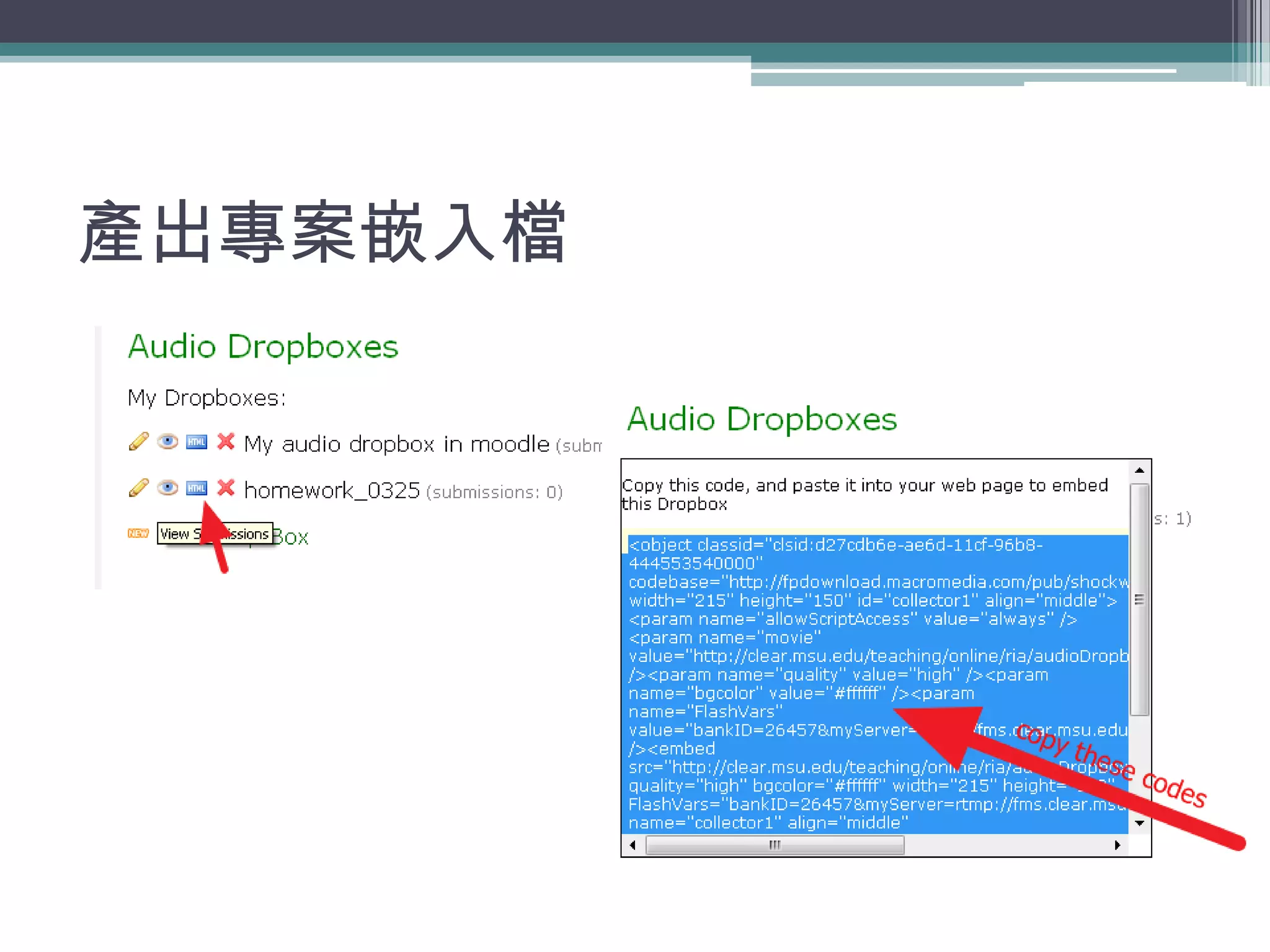 產出專案嵌入檔
 