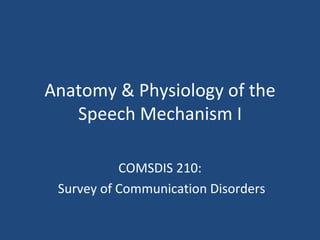 Anatomy & Physiology of the Speech Mechanism I COMSDIS 210: Survey of Communication Disorders 