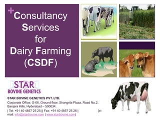 +Consultancy
Services
for
Dairy Farming
(CSDF)
STAR BOVINE GENETICS PVT. LTD.
Corporate Office; G-06, Ground floor, Shangrila Plaza, Road No.2,
Banjara Hills, Hyderabad – 500034.
| Tel: +91 40 4857 25 25 || Fax: +91 40 4857 25 26 | |e-
mail: info@starbovine.com | www.starbovine.com|
 