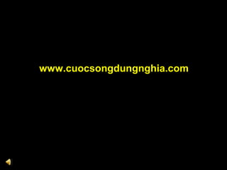 www.cuocsongdungnghia.com

.

 