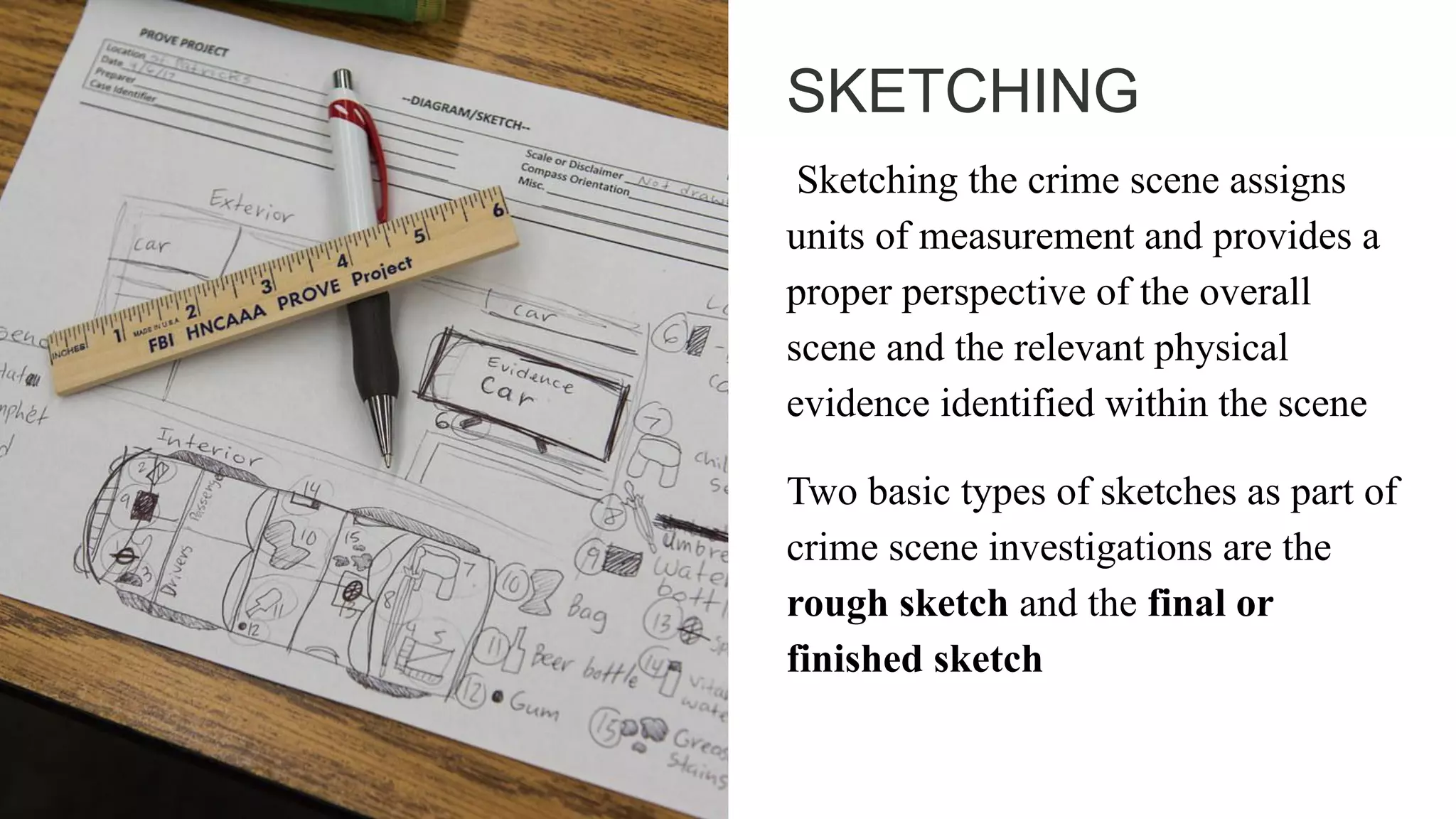 Crime Scene DOCUMENTATION | PDF
