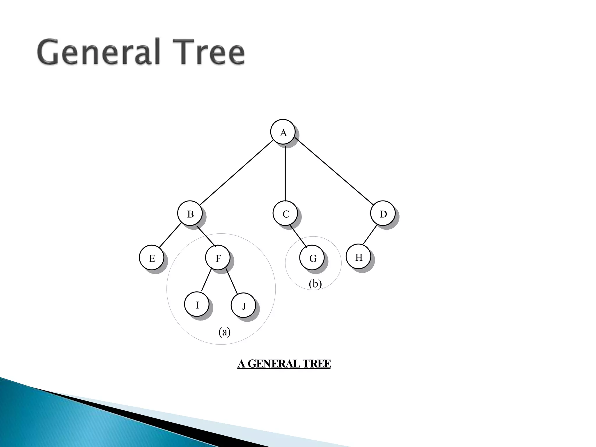 A
JI
HGFE
DCB
(a)
(b)
A GENERAL TREE
 