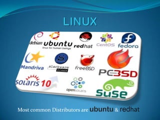 Most common Distributors are ubuntu & redhat
 