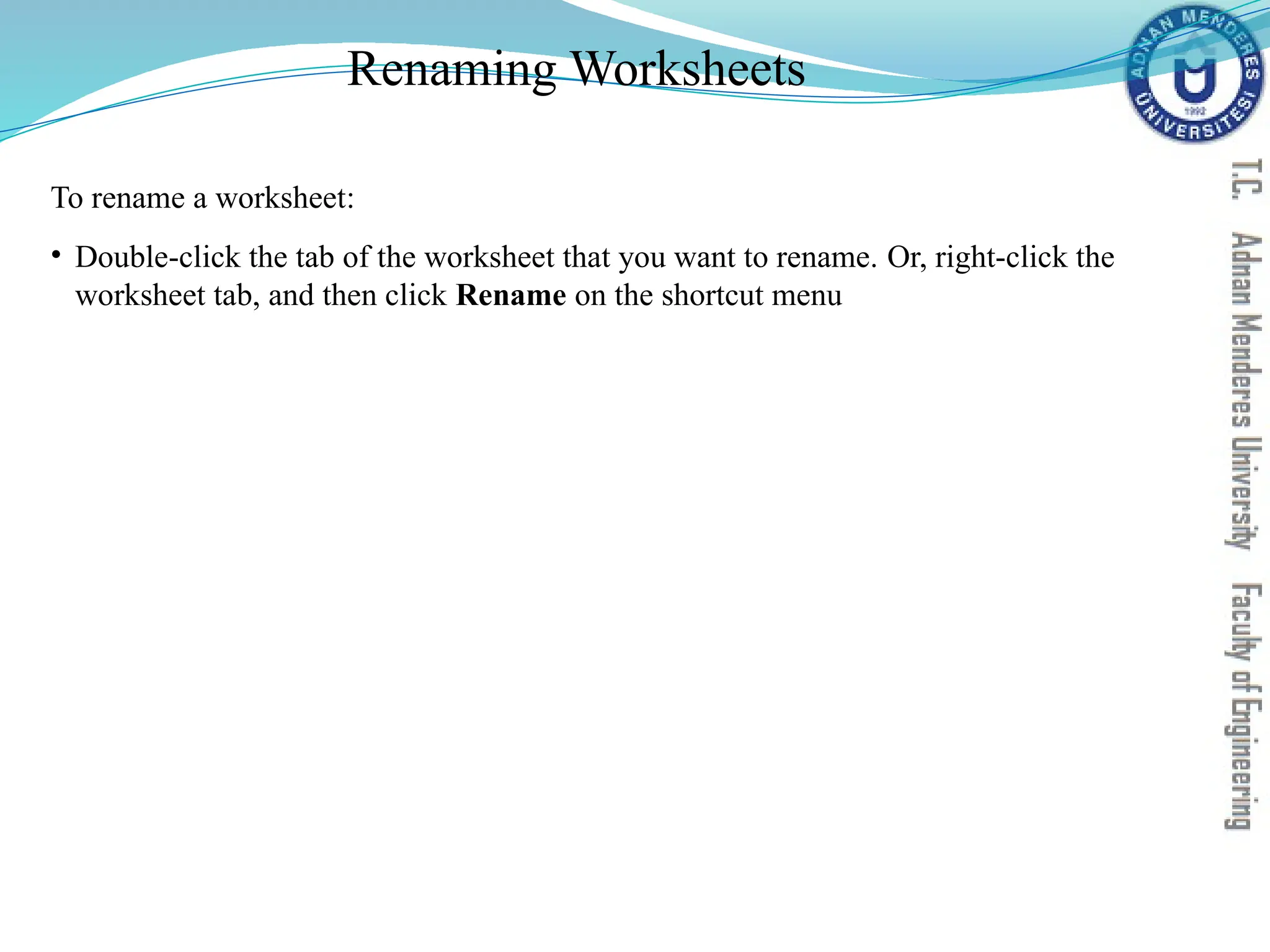 Renaming Worksheets
To rename a worksheet:
• Double-click the tab of the worksheet that you want to rename. Or, right-click the
worksheet tab, and then click Rename on the shortcut menu
 