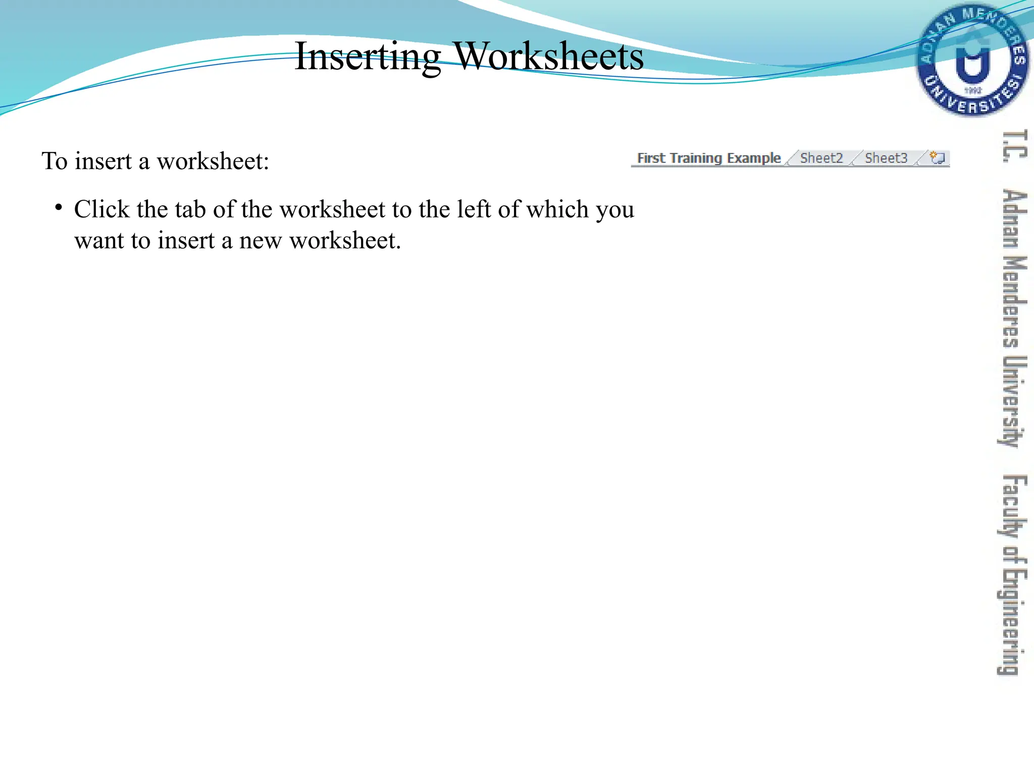 Inserting Worksheets
To insert a worksheet:
• Click the tab of the worksheet to the left of which you
want to insert a new worksheet.
 