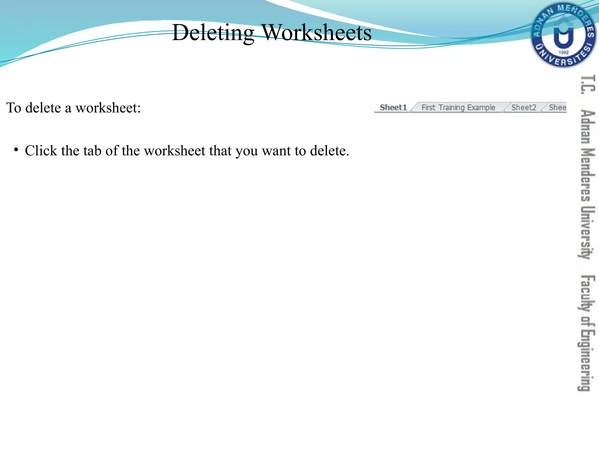 Deleting Worksheets
To delete a worksheet:
• Click the tab of the worksheet that you want to delete.
 