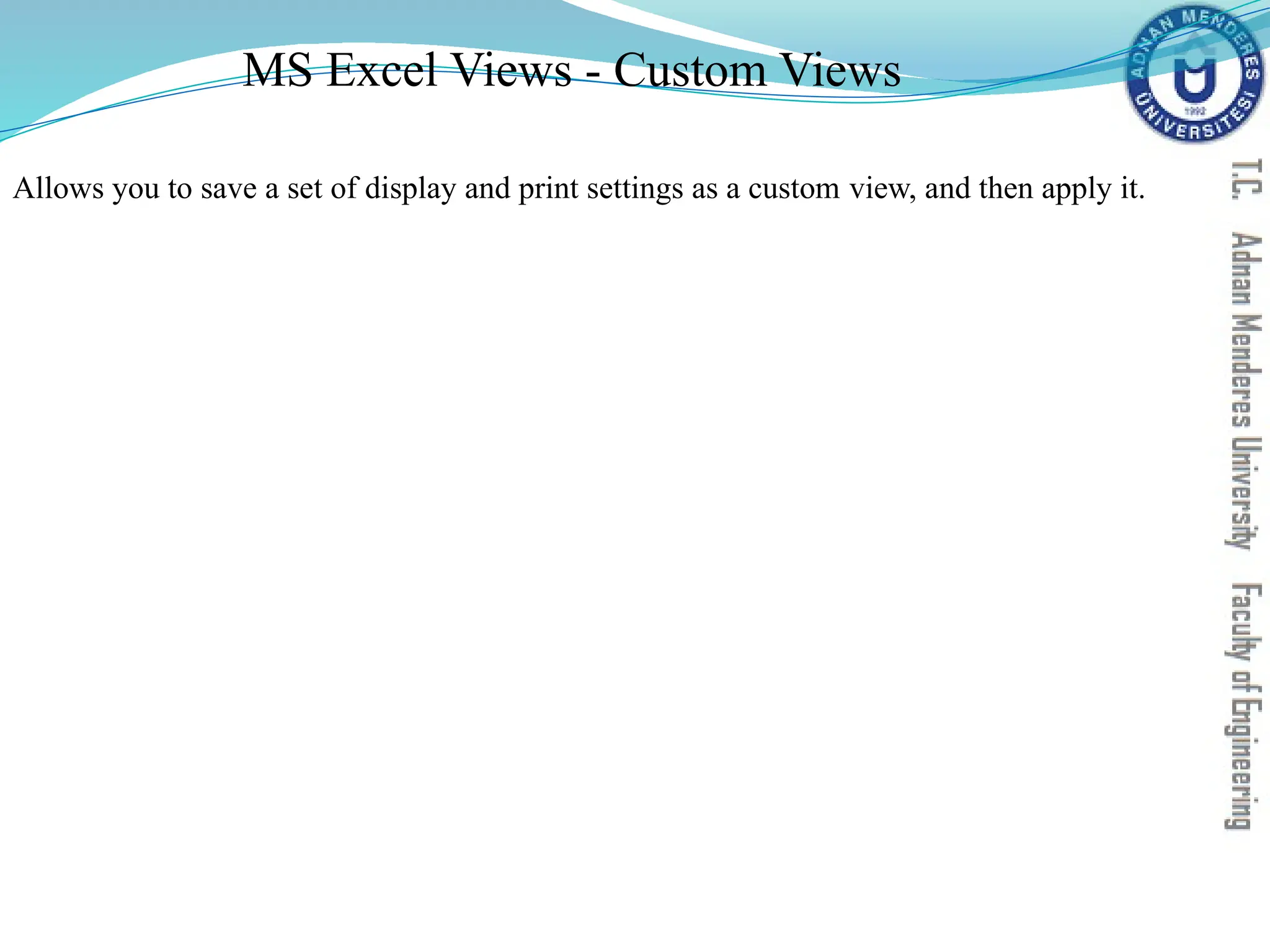 MS Excel Views - Custom Views
Allows you to save a set of display and print settings as a custom view, and then apply it.
 