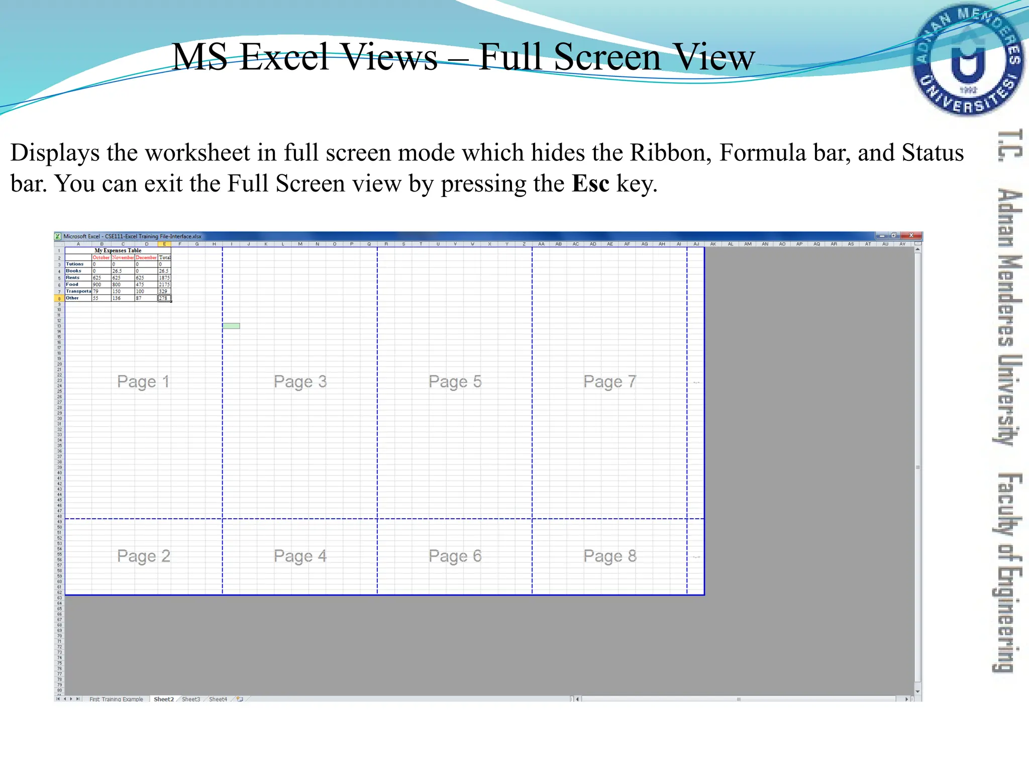 Displays the worksheet in full screen mode which hides the Ribbon, Formula bar, and Status
bar. You can exit the Full Screen view by pressing the Esc key.
MS Excel Views – Full Screen View
 
