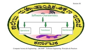 Software Engineering principles and practices | PPT
