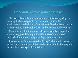• The use of blood hounds and other scent following dogs to
identify individual people or their scent trails in the
environment on the basis of a previous offered reference scent
article such as handkerchief, hat, and other items of clothing.
• Canine scent identification evidence is usually accepted in
court to suggest the unique identification of an accused
individual in the same way that finger prints are used.
• It is based on "individual odor theory," which hold that each
person has a unique scent that can be identified by the dog and
related back to a specific individual.
 