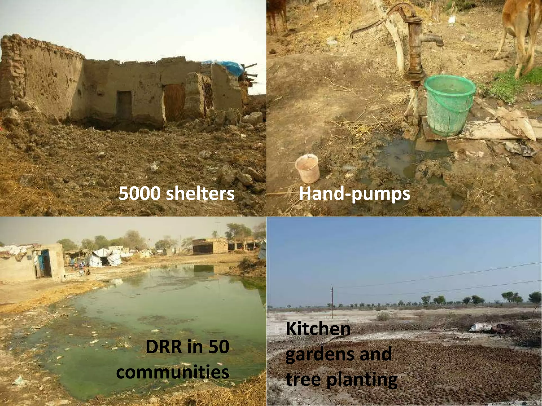 Practical implementation  in Sindh –  50 villages in Jacobabad and Kashmore 5000 shelters Hand-pumps DRR in 50 communities Kitchen gardens and tree planting 