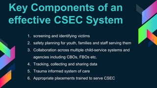 Child Sexual Exploitation of Children, CSEC Advocacy Project | PPTX
