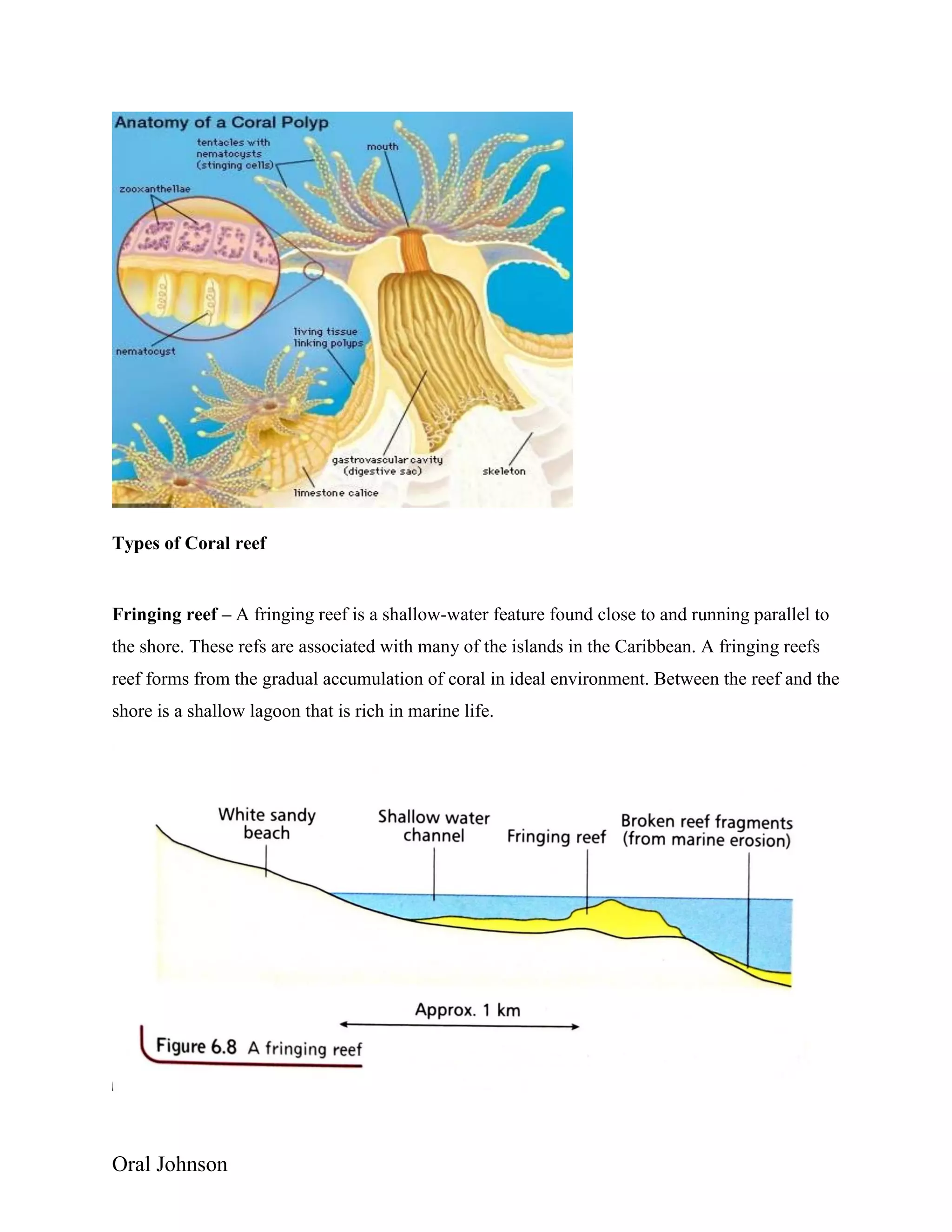 Oral Johnson
Types of Coral reef
Fringing reef – A fringing reef is a shallow-water feature found close to and running parallel to
the shore. These refs are associated with many of the islands in the Caribbean. A fringing reefs
reef forms from the gradual accumulation of coral in ideal environment. Between the reef and the
shore is a shallow lagoon that is rich in marine life.
 