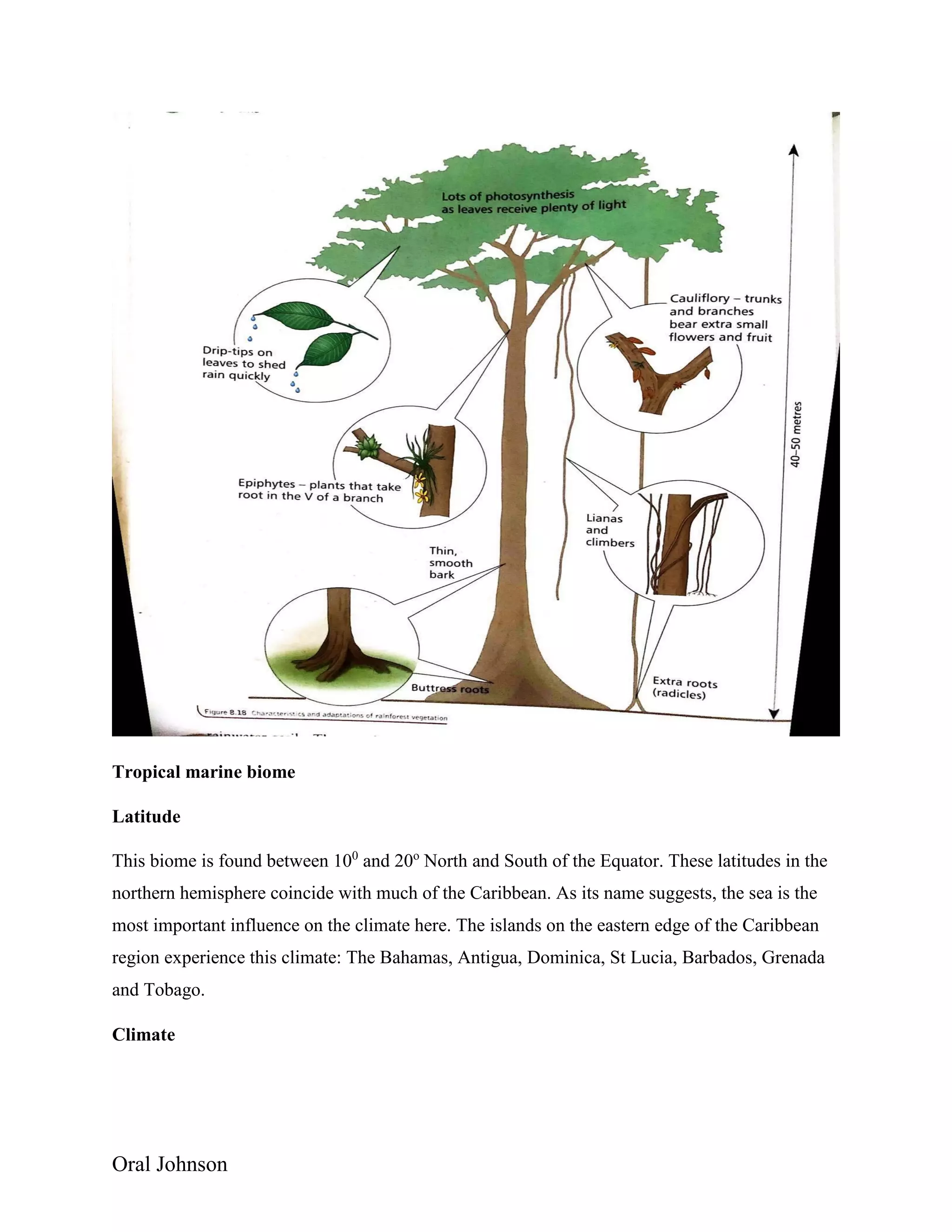 Oral Johnson
Tropical marine biome
Latitude
This biome is found between 100
and 20o
North and South of the Equator. These latitudes in the
northern hemisphere coincide with much of the Caribbean. As its name suggests, the sea is the
most important influence on the climate here. The islands on the eastern edge of the Caribbean
region experience this climate: The Bahamas, Antigua, Dominica, St Lucia, Barbados, Grenada
and Tobago.
Climate
 