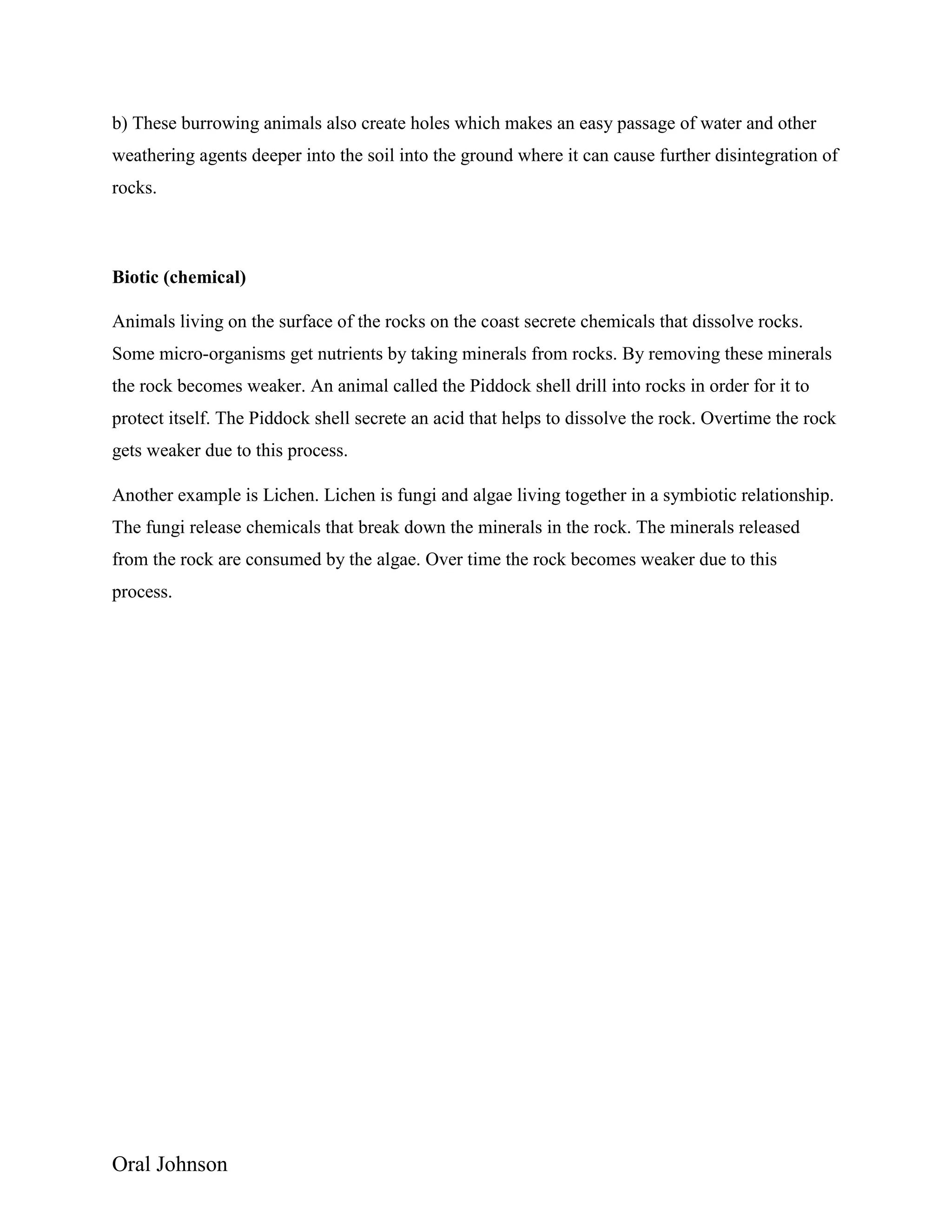 Oral Johnson
b) These burrowing animals also create holes which makes an easy passage of water and other
weathering agents deeper into the soil into the ground where it can cause further disintegration of
rocks.
Biotic (chemical)
Animals living on the surface of the rocks on the coast secrete chemicals that dissolve rocks.
Some micro-organisms get nutrients by taking minerals from rocks. By removing these minerals
the rock becomes weaker. An animal called the Piddock shell drill into rocks in order for it to
protect itself. The Piddock shell secrete an acid that helps to dissolve the rock. Overtime the rock
gets weaker due to this process.
Another example is Lichen. Lichen is fungi and algae living together in a symbiotic relationship.
The fungi release chemicals that break down the minerals in the rock. The minerals released
from the rock are consumed by the algae. Over time the rock becomes weaker due to this
process.
 