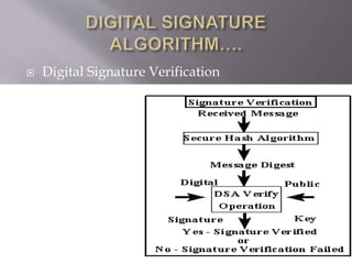  Digital Signature Verification
 