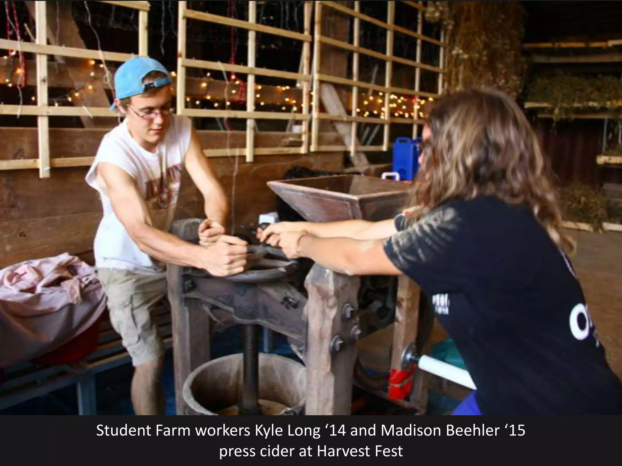Student Farm workers Kyle Long ‘14 and Madison Beehler ‘15
               press cider at Harvest Fest
 